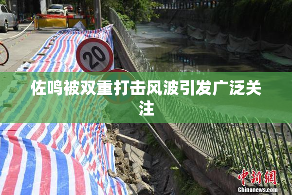 佐鸣被双重打击风波引发广泛关注