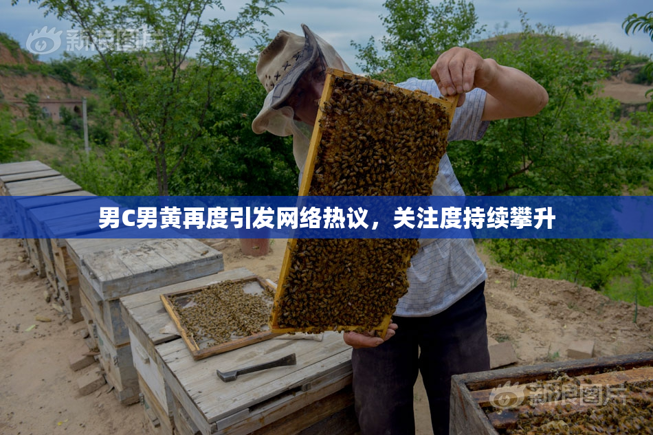 男C男黄再度引发网络热议，关注度持续攀升
