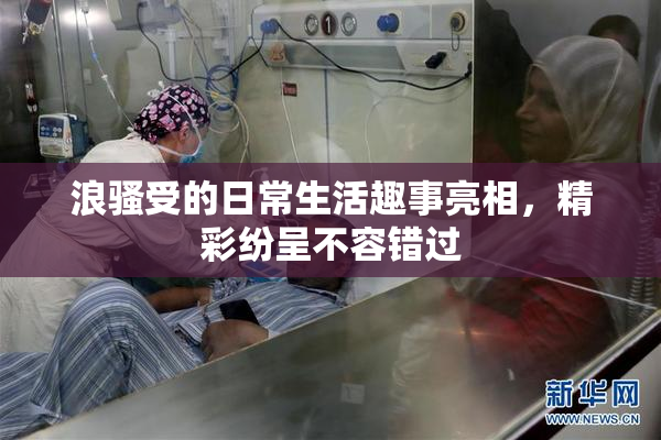 浪骚受的日常生活趣事亮相，精彩纷呈不容错过