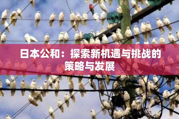 日本公和：探索新机遇与挑战的策略与发展
