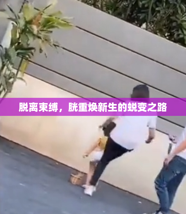 脱离束缚，胱重焕新生的蜕变之路