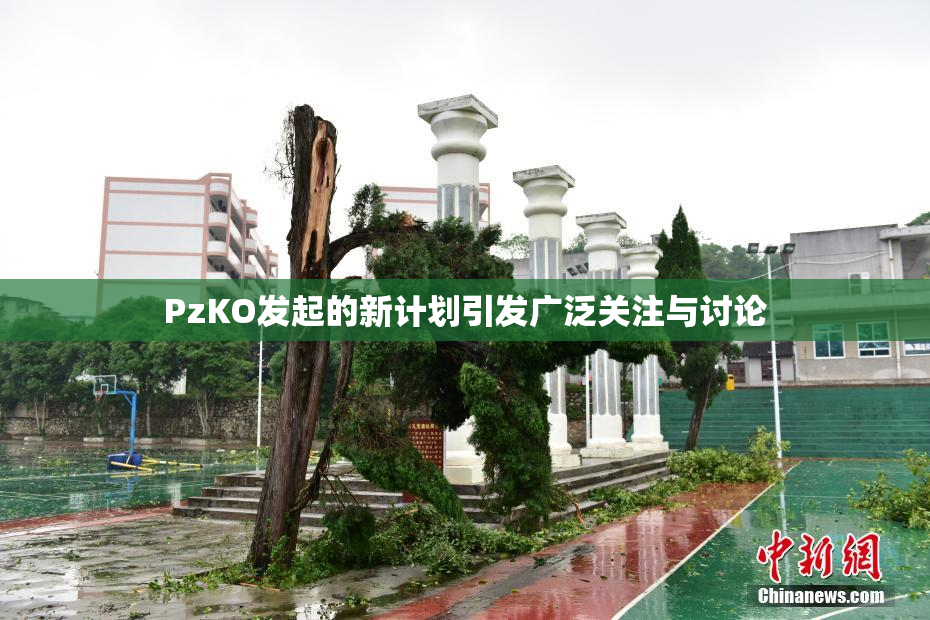 PzKO发起的新计划引发广泛关注与讨论