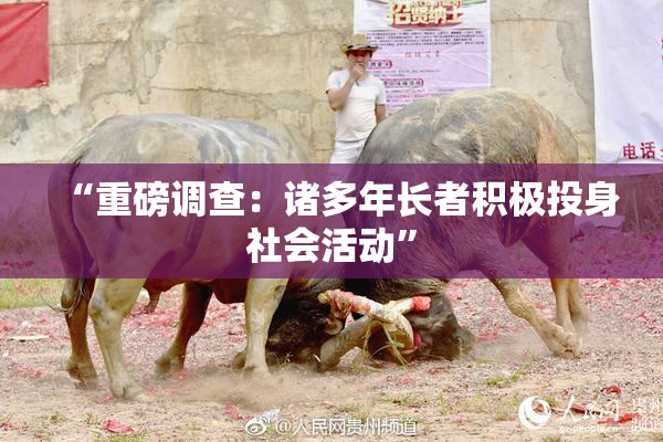 “重磅调查：诸多年长者积极投身社会活动”