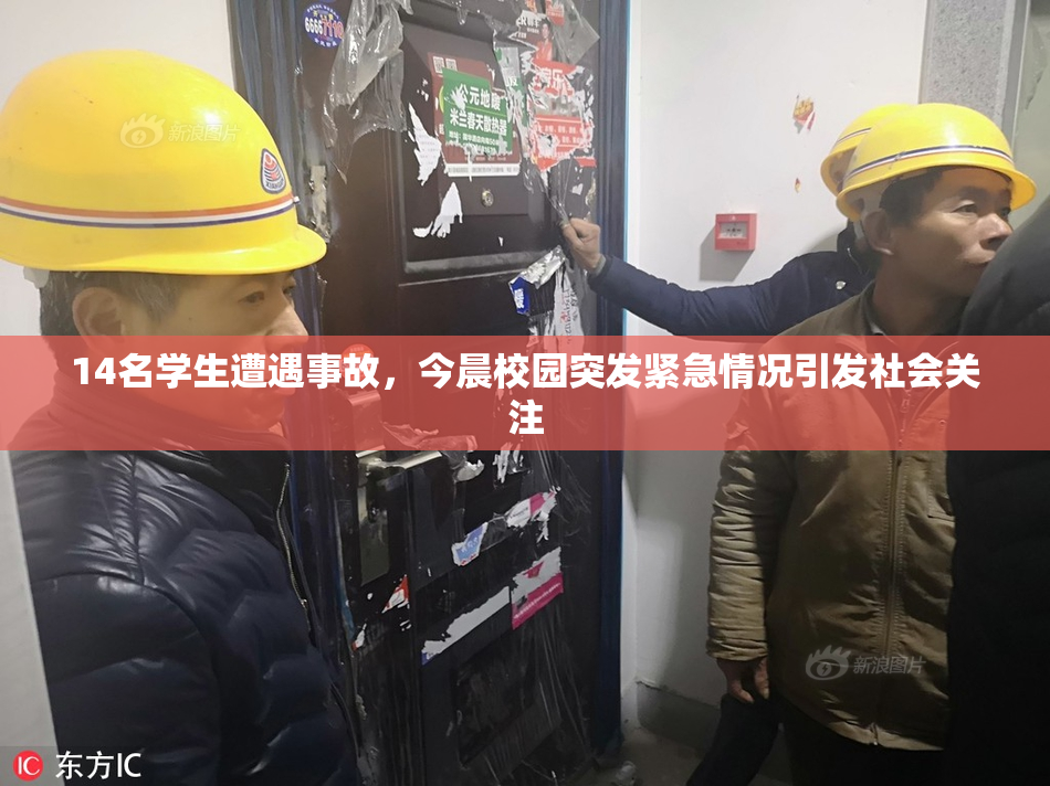 14名学生遭遇事故，今晨校园突发紧急情况引发社会关注