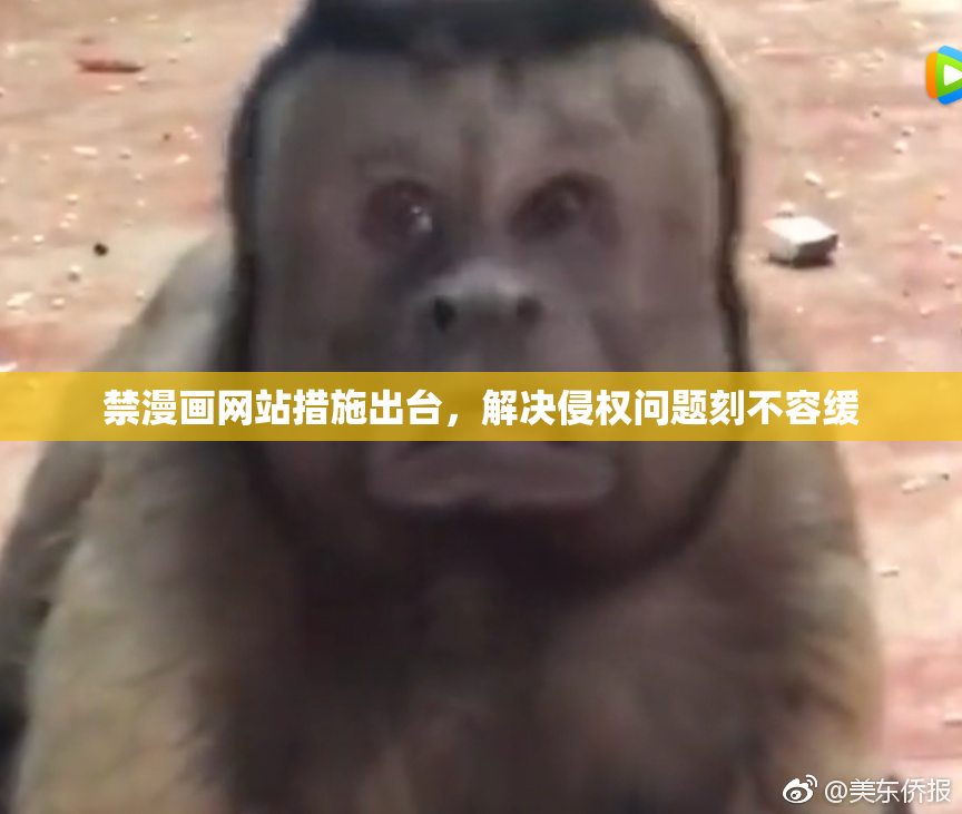 禁漫画网站措施出台，解决侵权问题刻不容缓