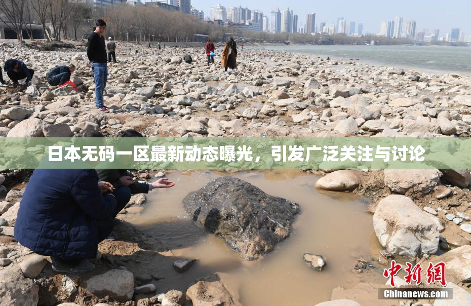 日本无码一区最新动态曝光，引发广泛关注与讨论