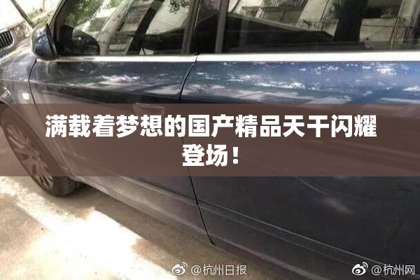 满载着梦想的国产精品天干闪耀登场！