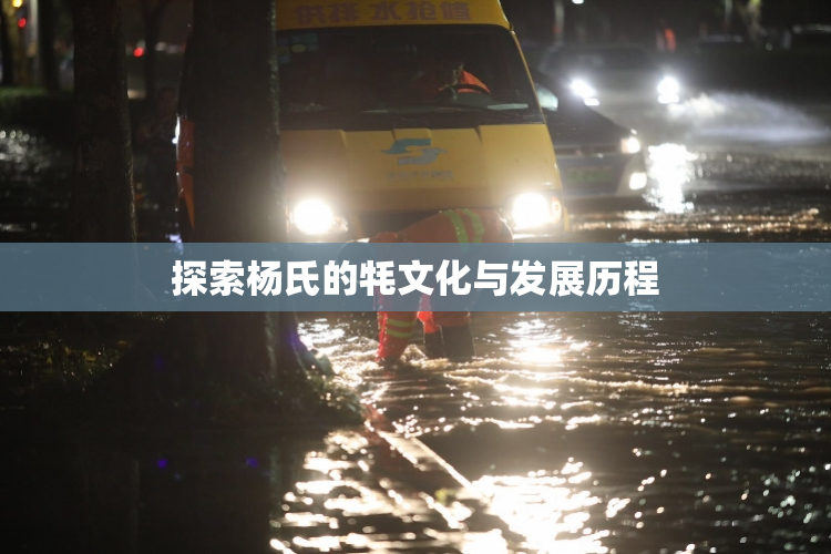 探索杨氏的牦文化与发展历程