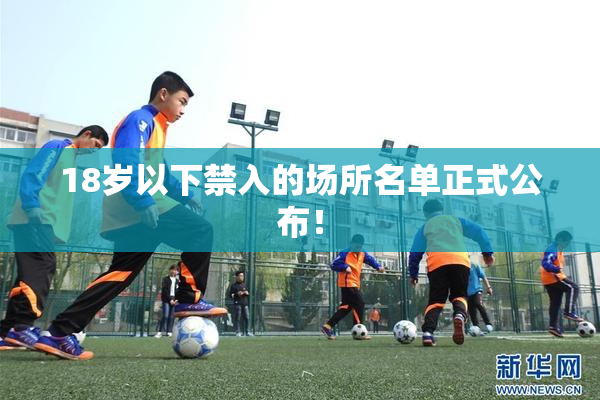 18岁以下禁入的场所名单正式公布！