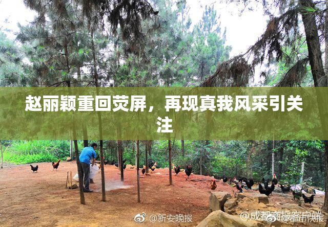 赵丽颖重回荧屏，再现真我风采引关注