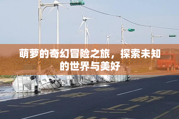 萌萝的奇幻冒险之旅，探索未知的世界与美好