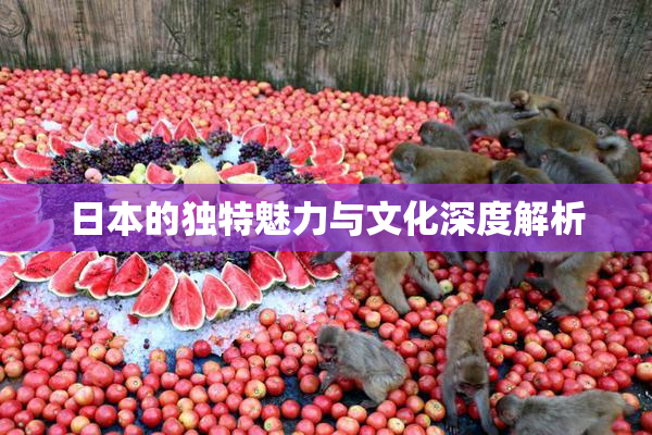日本的独特魅力与文化深度解析
