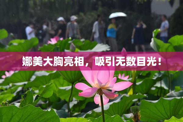 娜美大胸亮相，吸引无数目光！
