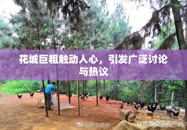 花城巨粗触动人心，引发广泛讨论与热议