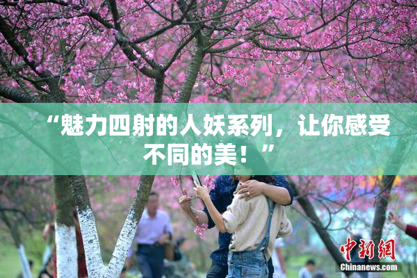 “魅力四射的人妖系列，让你感受不同的美！”
