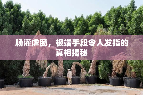 肠灌虐肠，极端手段令人发指的真相揭秘