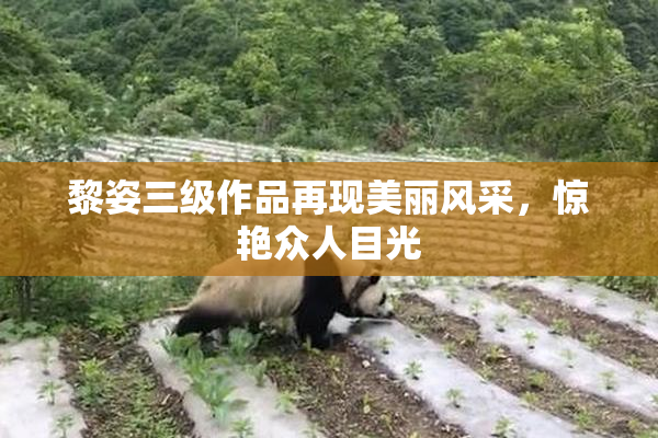 黎姿三级作品再现美丽风采，惊艳众人目光