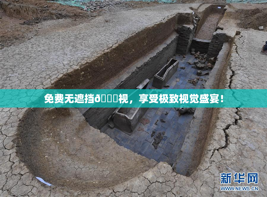 免费无遮挡🔞视，享受极致视觉盛宴！