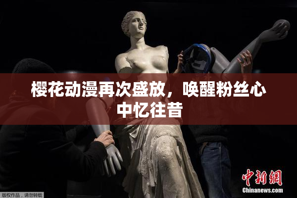 樱花动漫再次盛放，唤醒粉丝心中忆往昔