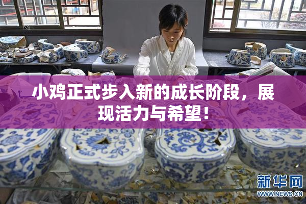 小鸡正式步入新的成长阶段，展现活力与希望！
