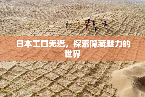 日本工口无遮，探索隐藏魅力的世界