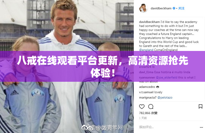 八戒在线观看平台更新，高清资源抢先体验！
