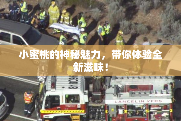 小蜜桃的神秘魅力，带你体验全新滋味！