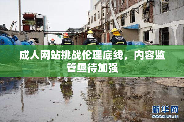 成人网站挑战伦理底线，内容监管亟待加强