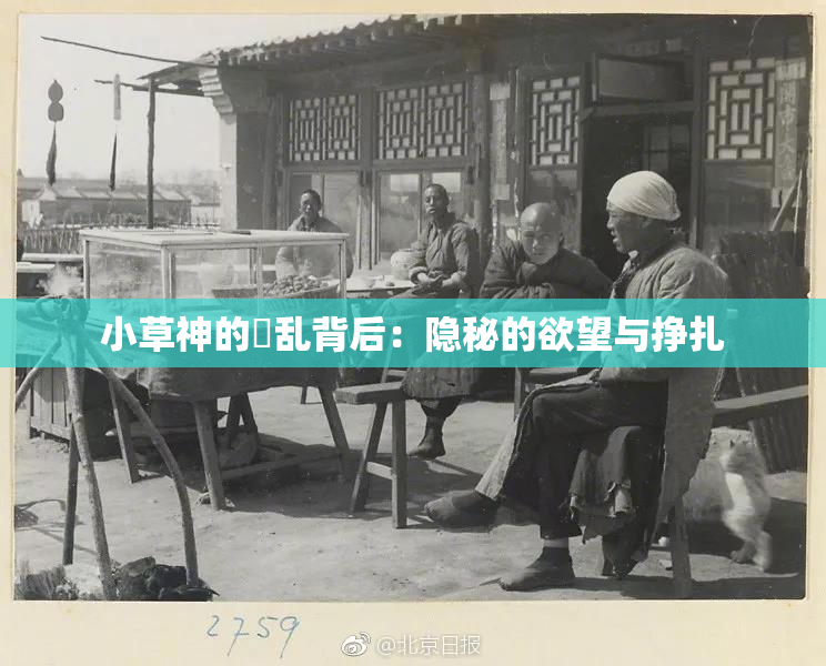 小草神的婬乱背后：隐秘的欲望与挣扎