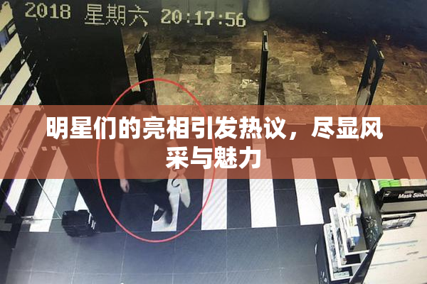 明星们的亮相引发热议，尽显风采与魅力