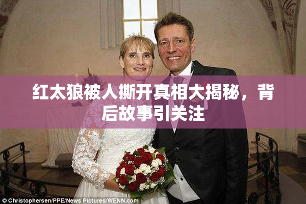 红太狼被人撕开真相大揭秘，背后故事引关注