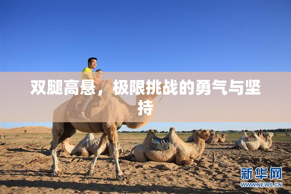 双腿高悬，极限挑战的勇气与坚持