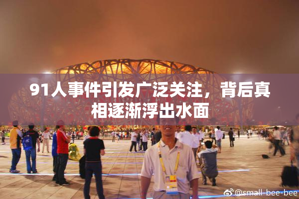 91人事件引发广泛关注，背后真相逐渐浮出水面