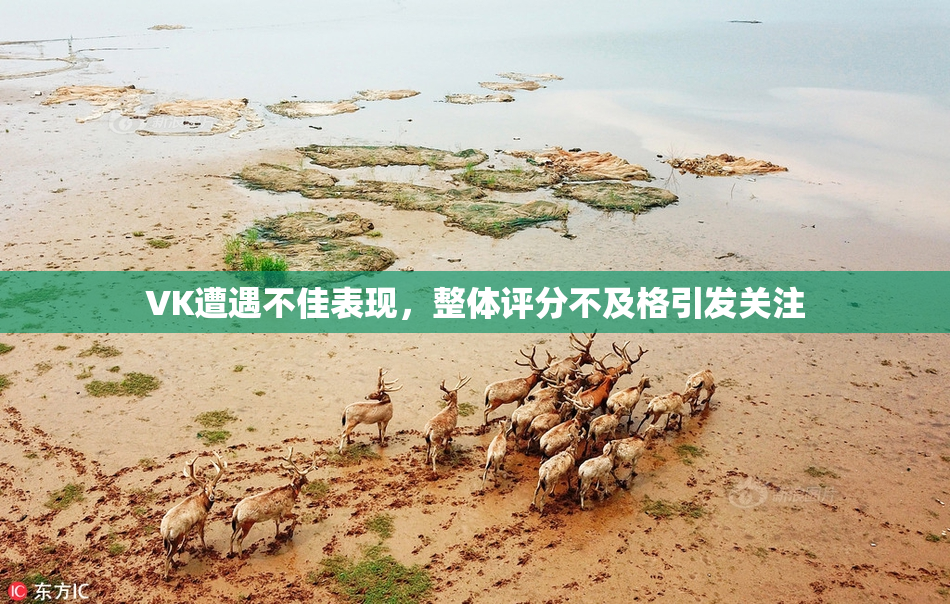 VK遭遇不佳表现，整体评分不及格引发关注