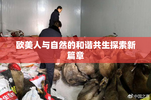 欧美人与自然的和谐共生探索新篇章