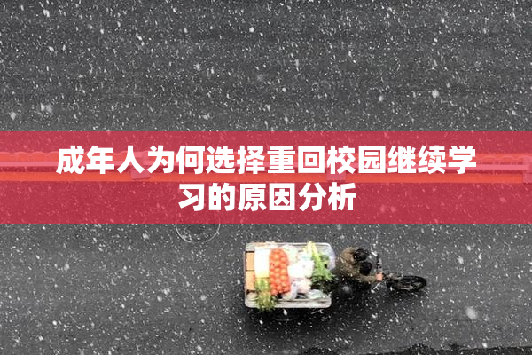 成年人为何选择重回校园继续学习的原因分析