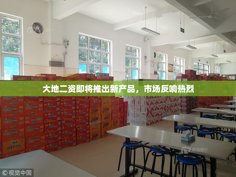 大地二资即将推出新产品，市场反响热烈