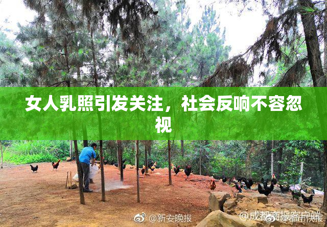 女人乳照引发关注，社会反响不容忽视