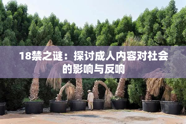 18禁之谜：探讨成人内容对社会的影响与反响
