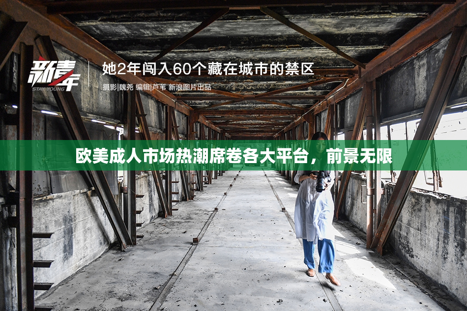 欧美成人市场热潮席卷各大平台，前景无限