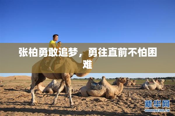 张柏勇敢追梦，勇往直前不怕困难