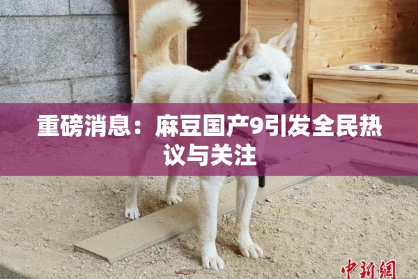 重磅消息：麻豆国产9引发全民热议与关注