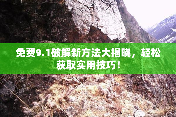免费9.1破解新方法大揭晓，轻松获取实用技巧！