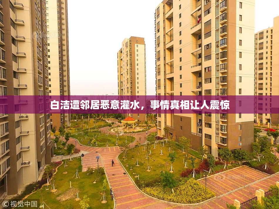 白洁遭邻居恶意灌水，事情真相让人震惊