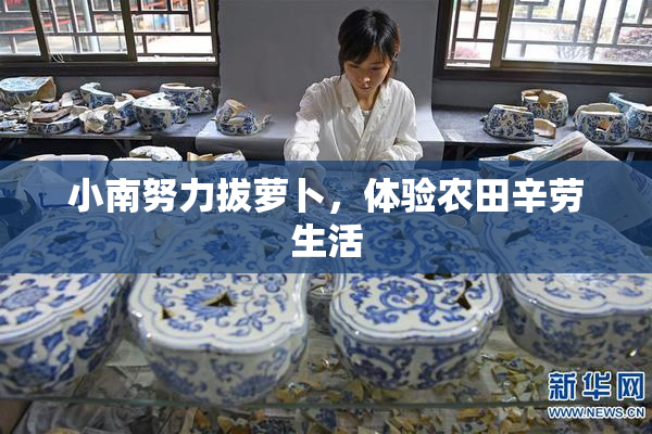 小南努力拔萝卜，体验农田辛劳生活