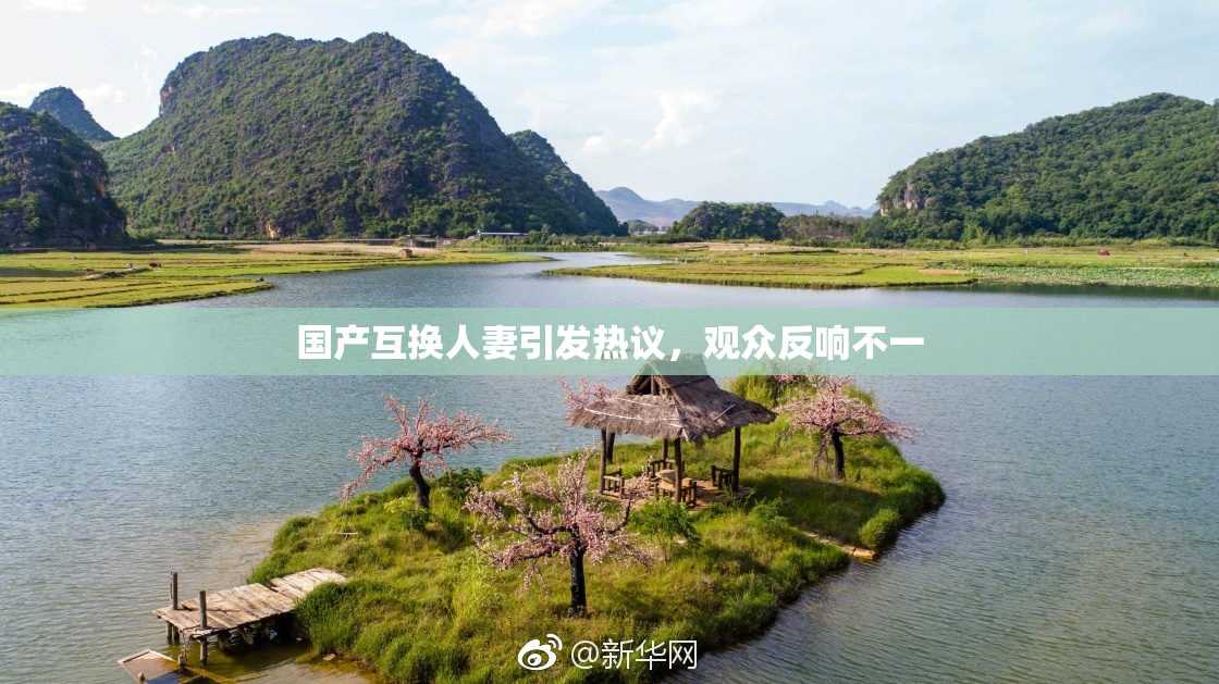 国产互换人妻引发热议，观众反响不一