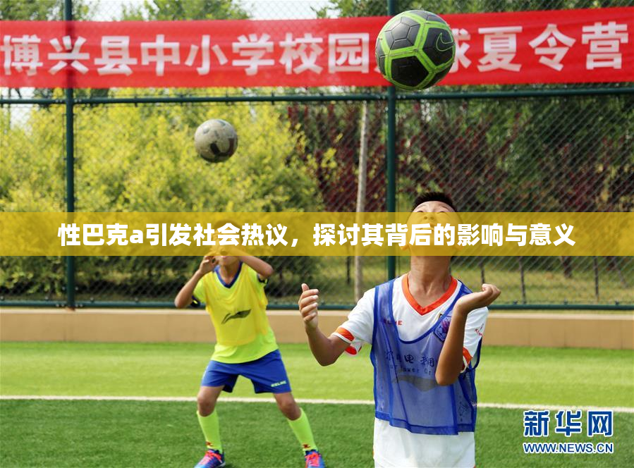 性巴克a引发社会热议，探讨其背后的影响与意义