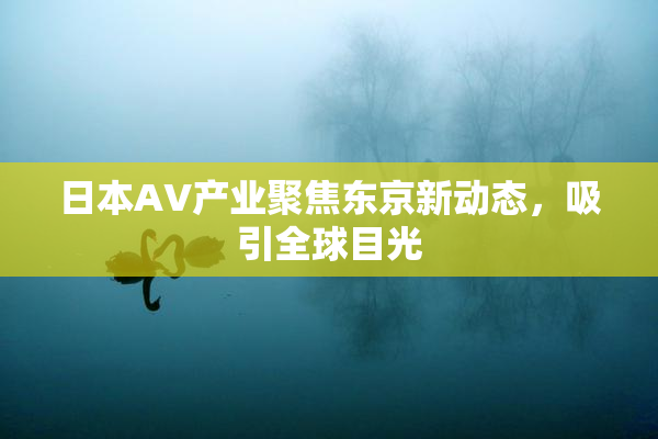 日本AV产业聚焦东京新动态，吸引全球目光
