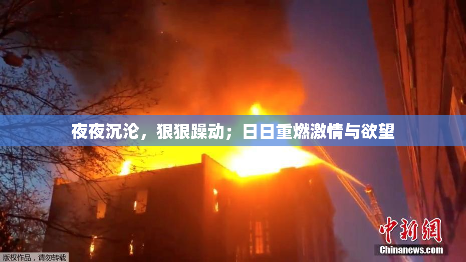 夜夜沉沦，狠狠躁动；日日重燃激情与欲望