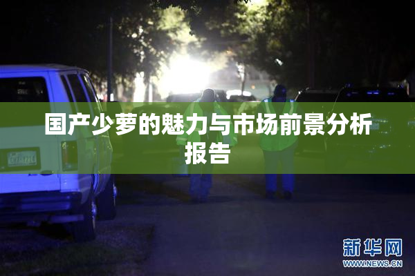 国产少萝的魅力与市场前景分析报告